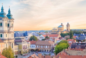 Fra Budapest: Privat slot- og vintur i det nordlige Ungarn