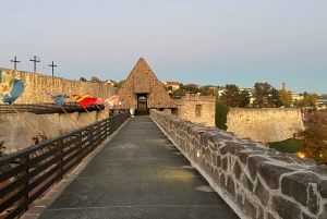 Fra Budapest: Privat slot- og vintur i det nordlige Ungarn