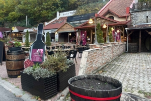 Fra Budapest: Privat slot- og vintur i det nordlige Ungarn