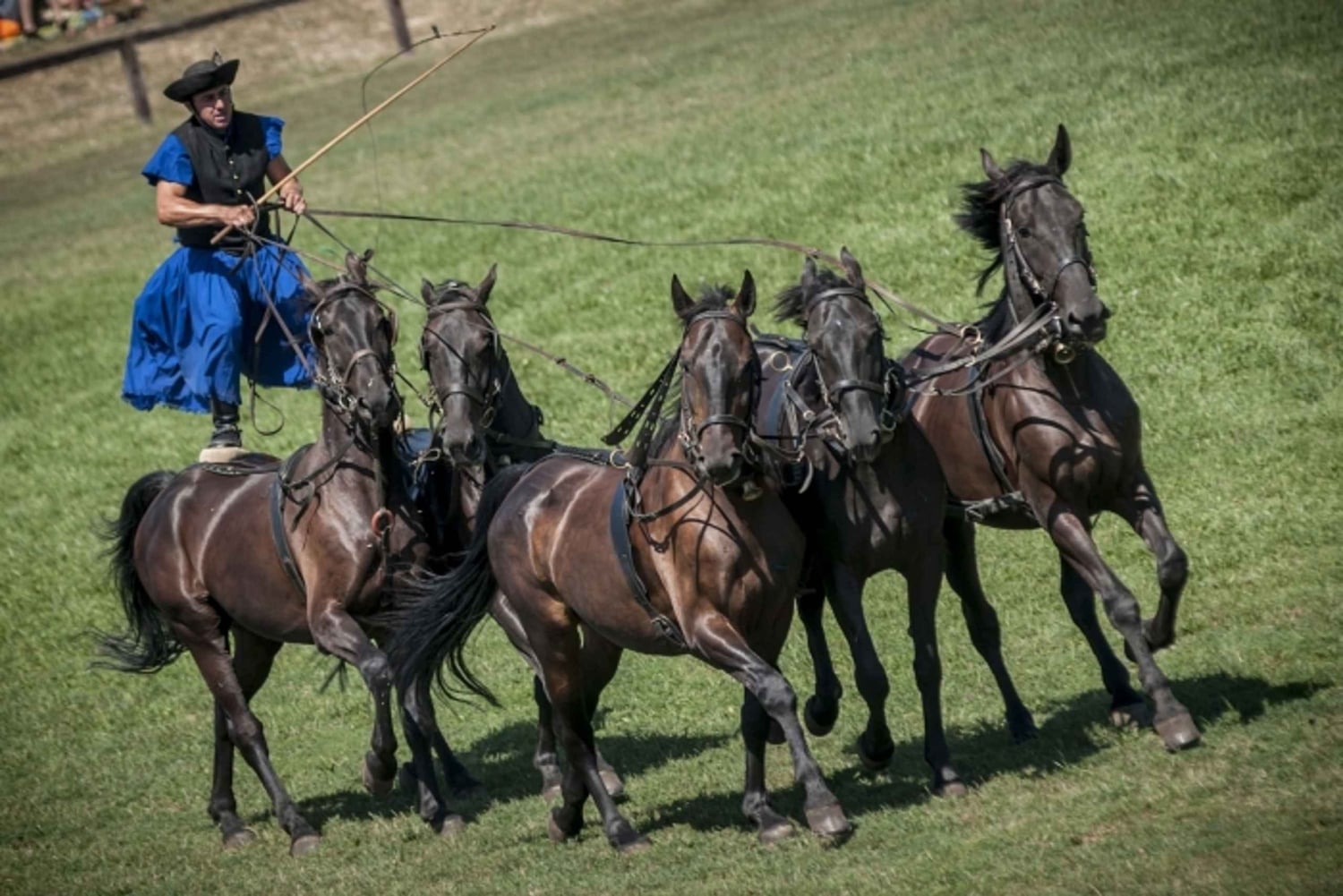 Fra Budapest: Puszta Horse Show og besøg på landet