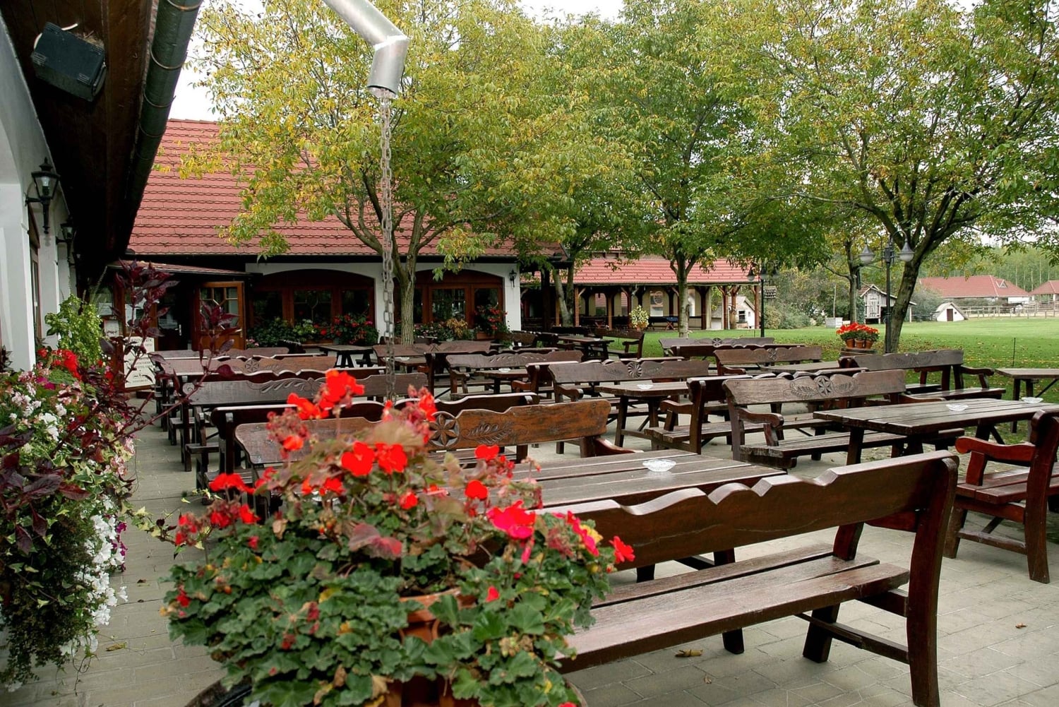 Fra Budapest: Puszta Horse Show og besøg på landet