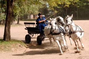 From Budapest: Puszta Horse Show and Countryside Visit