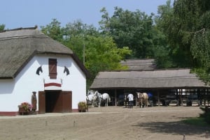 From Budapest: Puszta Horse Show and Countryside Visit