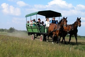 Fra Budapest: Puszta Horse Show og besøg på landet