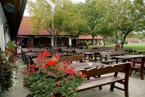 Fra Budapest: Puszta Horse Show og besøg på landet