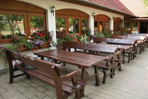 Fra Budapest: Puszta Horse Show og besøg på landet