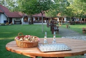 Fra Budapest: Puszta Horse Show og besøg på landet