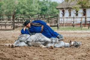 Fra Budapest: Puszta Horse Show og besøg på landet