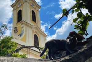 From Budapest: Szentendre Art and Food Tour with Tasting