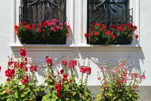 Från Budapest: Szentendre Konst och historia med StreetFood