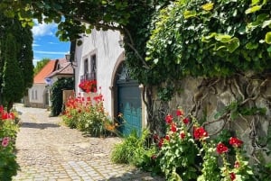 Från Budapest: Szentendre Konst och historia med StreetFood