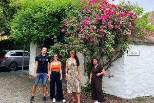 Fra Budapest: Dagstur til Szentendre med gatemat