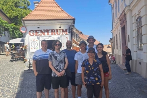 Fra Budapest: Dagstur til Szentendre med gatemat
