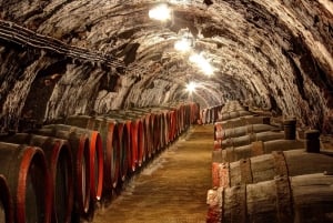 From Budapest: Tokaj Wine Tour with Tasting and Lunch