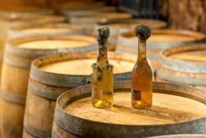 From Budapest: Tokaj Wine Tour with Tasting and Lunch