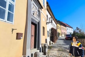 From Budapest: UNESCO Banska Stiavnica Private 4WD Tour