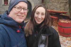 From Budpaest: Páty Wine Village Tour with Tastings