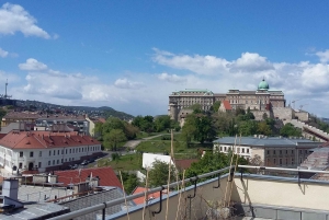 Från Pest till Buda – din essentiella tur med lokal guide