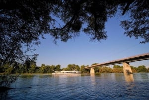 Desde Budapest: cruceros de día completo o medio día por el recodo del Danubio.