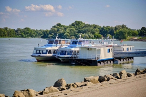 Desde Budapest: cruceros de día completo o medio día por el recodo del Danubio.