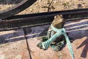 Promenade le long des Champs-Élysées de Budapest