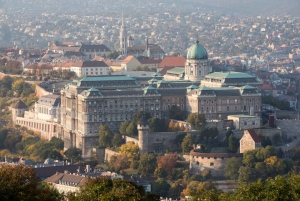 Grand City Tour (3 hours)