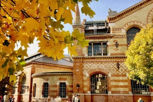 Madtur i den store markedshal med lángos og lokale lækkerier