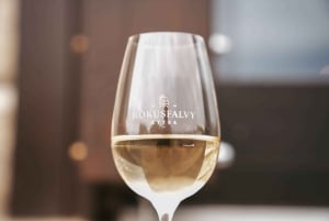 Wijnproeverij met gids bij Rókusfalvy Estate