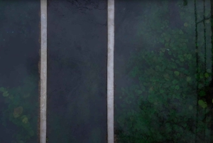 Hévíz wellness-udflugt: Dagsudflugt til termisk sø fra Budapest