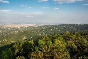 Hike, nature & picturesque view over Budapest