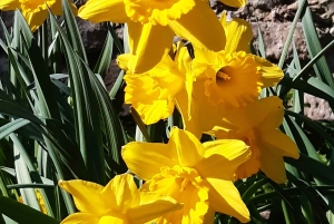 Vandra till andliga platser nära Budapest