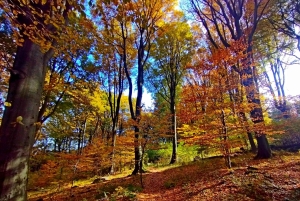 Wandertour zum Gipfel von Ungarn