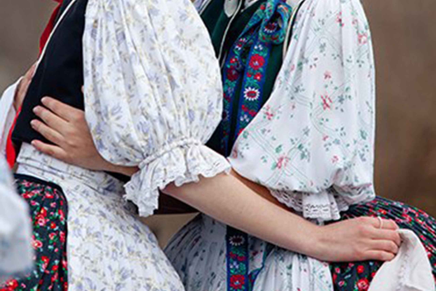 ホロコー、農村遺産、ブダペスト発日帰りツアー