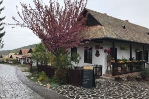 ホロコー、農村遺産、ブダペスト発日帰りツアー