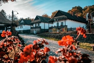 ホロコー、農村遺産、ブダペスト発日帰りツアー