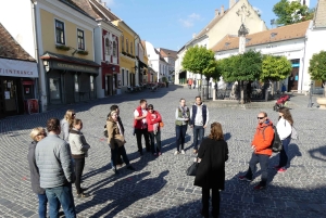 Ungarn: Privat heldagstur til Donauknuden