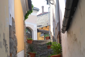 Ungarn: Privat heldagstur til Donauknuden