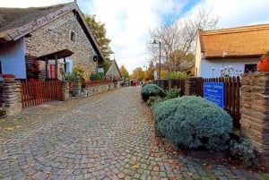 Lake Balaton and Herend Guided Tour