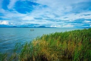 Lake Balaton and Herend Guided Tour