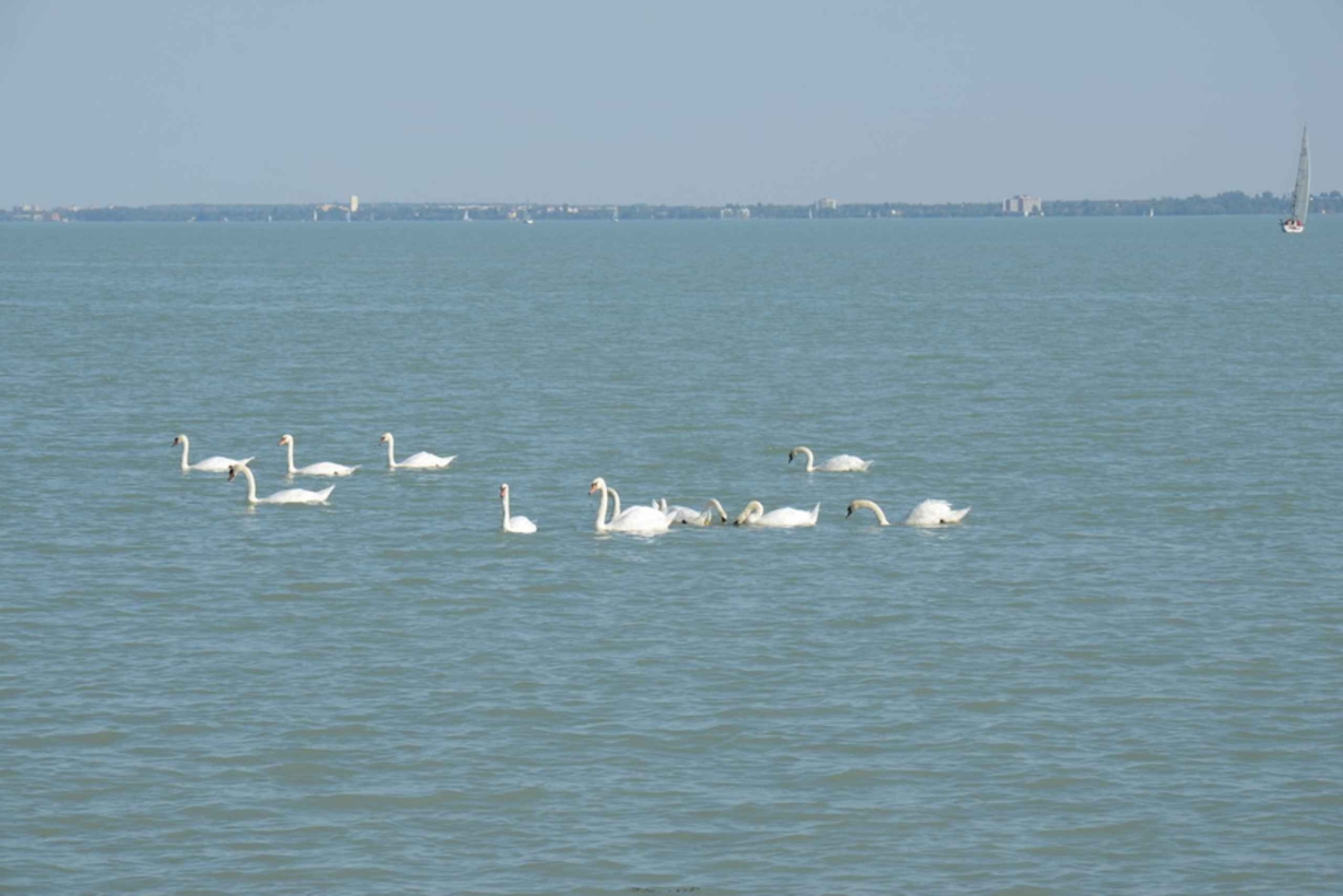 Plattensee & Kreuzfahrt