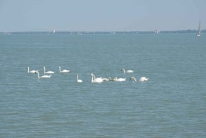 Plattensee & Kreuzfahrt