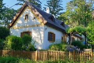 Balaton-järven kokopäiväretki Budapestistä