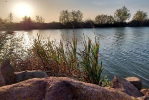 Från Balatonsjön - heldagstur till norra stranden