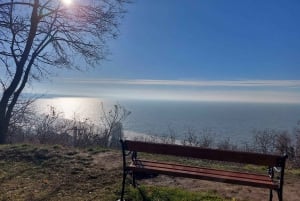 Från Balatonsjön - heldagstur till norra stranden