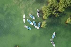 Lake Balaton: Paddle Board Tour of Tihany National Park