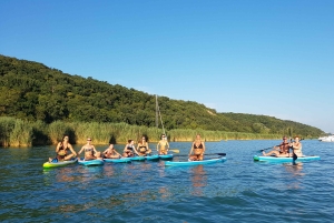 Der Plattensee: Paddle Board Tour durch den Tihany-Nationalpark