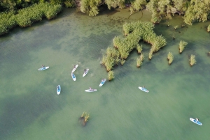 Der Plattensee: Paddle Board Tour durch den Tihany-Nationalpark