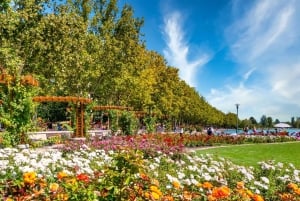 Lake Balaton & Tihany Abbey Private Car Trip From Budapest