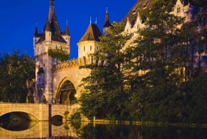 Light up Budapest: Private 2-hour night tour by luxury car