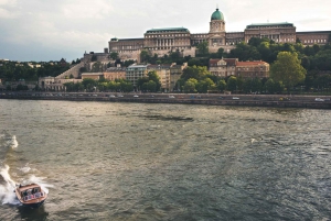 Luxury Danube Water Limousine Cruise